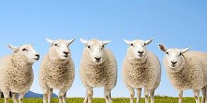 Cure Insomnia with Hypnosis